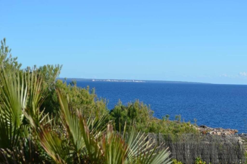 Villa Vallgornera Πάλμα ντε Μαγιόρκα Εξωτερικό φωτογραφία